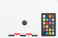 Foto von Bronzeknopf (NHMW-PRAE-026687)